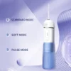 Portable Water Flosser