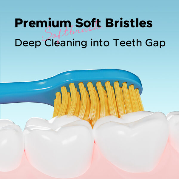 Premium Soft Bristle Toothbrush