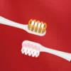 Dycrol KR643 Gold Fortune Toothbrush
