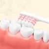 Dycrol KR643 Gold Fortune Toothbrush