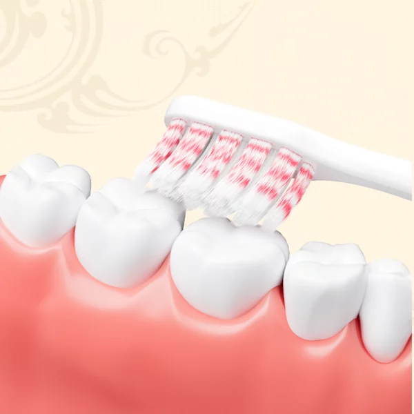 Dycrol KR643 Gold Fortune Toothbrush
