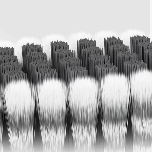 Toothbrush